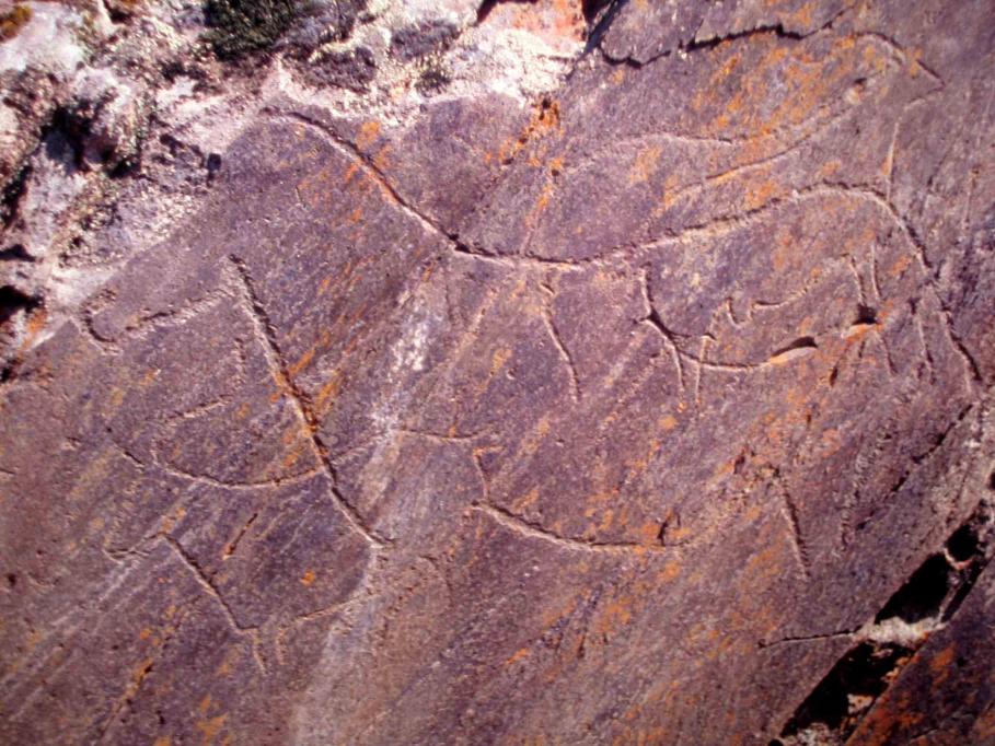 foz coa rock carving